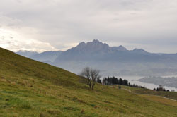 alperne
